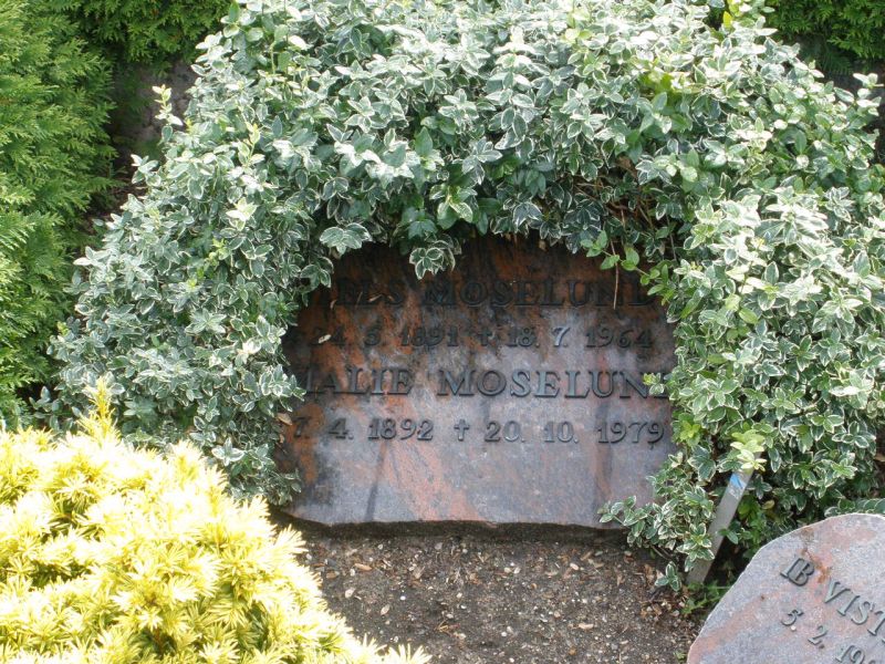 Niels Moselund.JPG